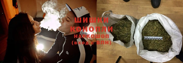 соль ск Богородск