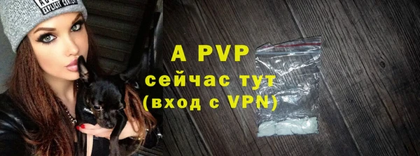 мяу мяу кристалл Богданович