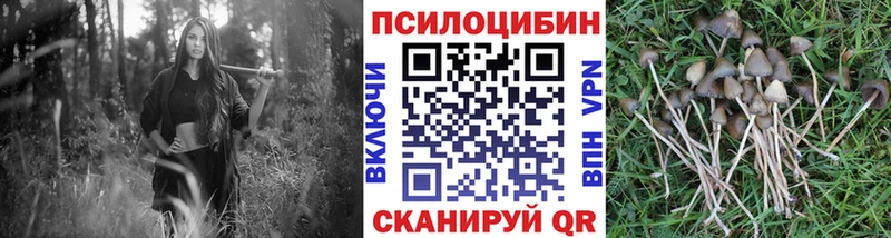 Галлюциногенные грибы MAGIC MUSHROOMS  Верхотурье 